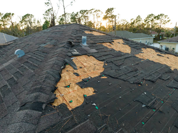Best Roof Waterproofing  in Martin, SD