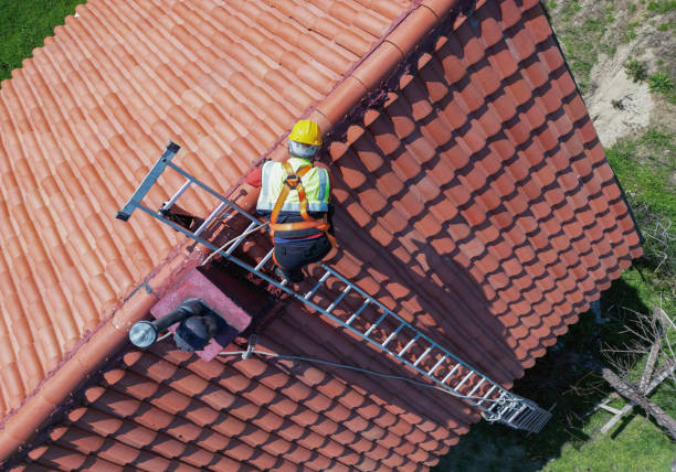 Best Roof Coating and Sealing  in Martin, SD